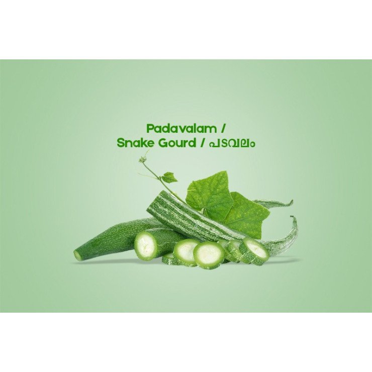 Padavalam / Snake Gourd / പടവലം - 500.00 gm